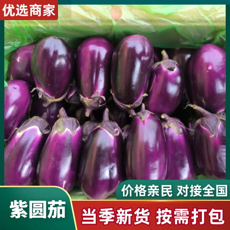 紫圆茄一手货源，产地直发。承接全国各大市场电商平台发货