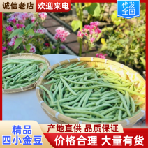 湖北宜昌精品四小金豆，产地一手货源，价格真实，欢迎选购