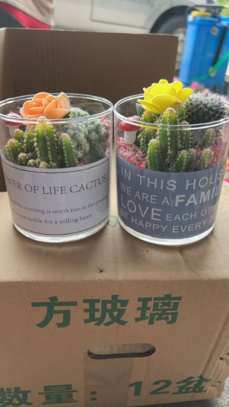 玻璃仙人球