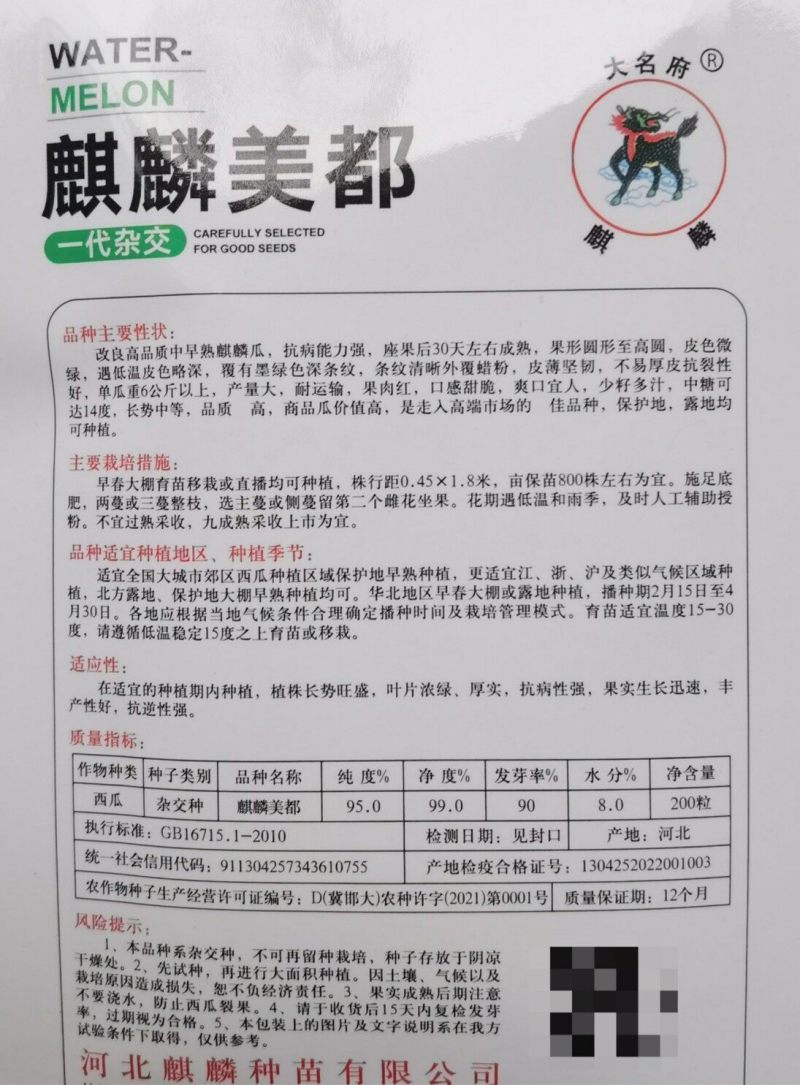 麒麟美都西瓜种子皮薄耐裂少籽8424圆西瓜美都西瓜种子籽