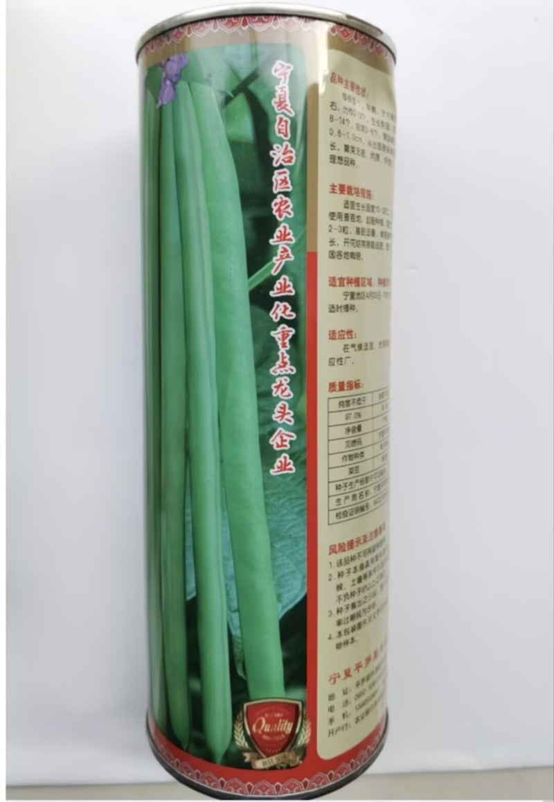 富贵小金豆种子种籽早春耐低温无筋四季豆芸豆架豆王种子绿荚