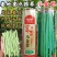 富贵小金豆种子种籽早春耐低温无筋四季豆芸豆架豆王种子绿荚