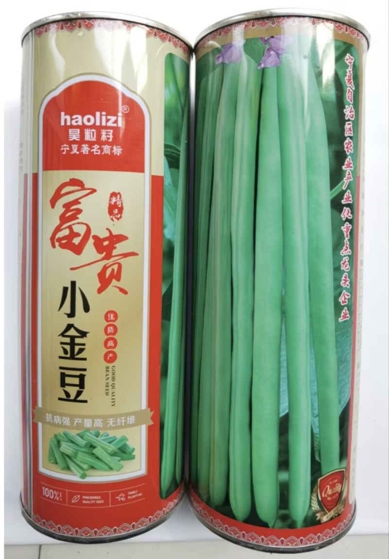 富贵小金豆种子种籽早春耐低温无筋四季豆芸豆架豆王种子绿荚