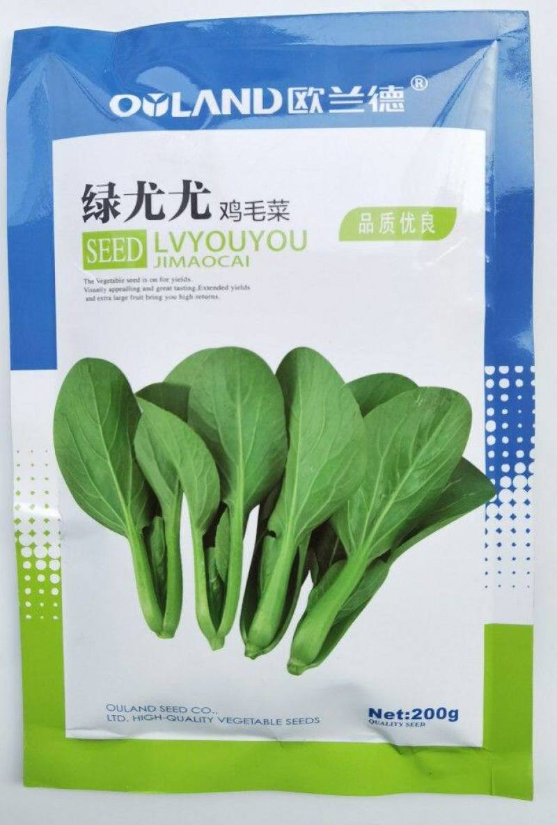 绿尤尤鸡毛菜种子籽杂交青梗耐热耐湿四季夏季速生鸡毛菜籽