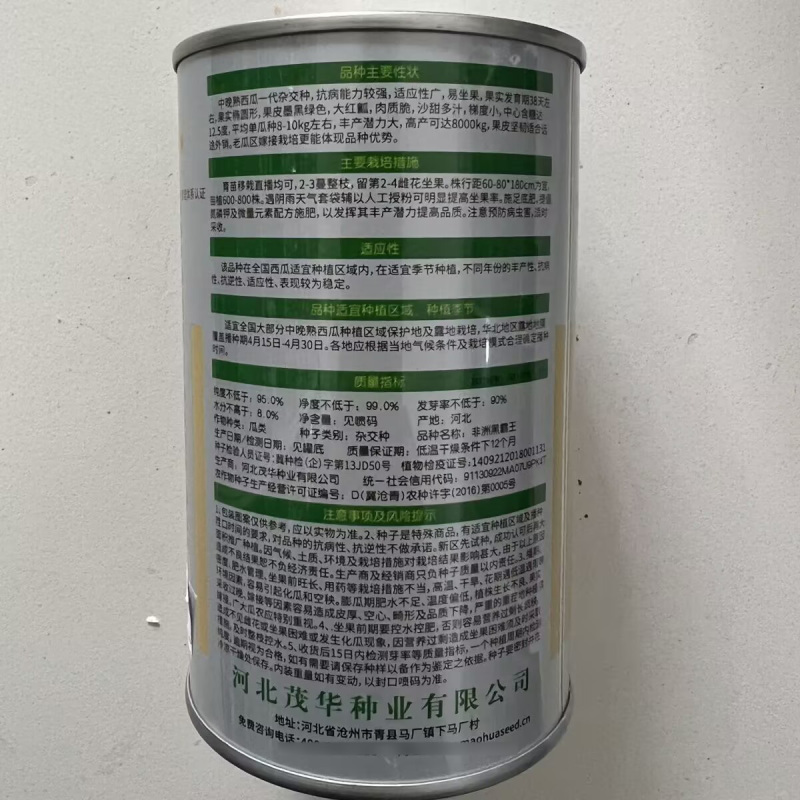 特大懒汉黑皮西瓜种子不整枝打叉纯黑皮巨大西瓜种子籽抗重茬