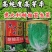 意大利耐抽苔生菜种子高芽率耐热耐湿耐寒生菜四季蔬菜种籽孑