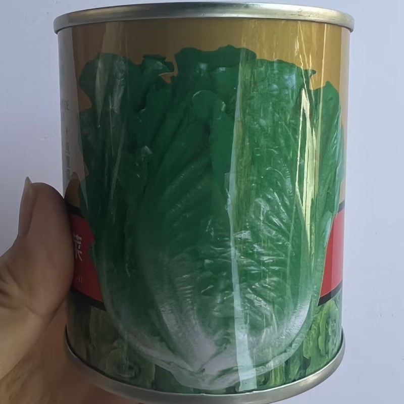 意大利耐抽苔生菜种子高芽率耐热耐湿耐寒生菜四季蔬菜种籽孑