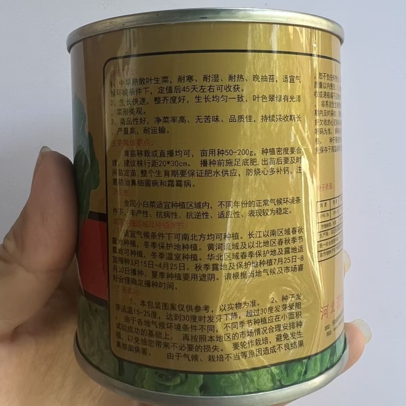 意大利耐抽苔生菜种子高芽率耐热耐湿耐寒生菜四季蔬菜种籽孑