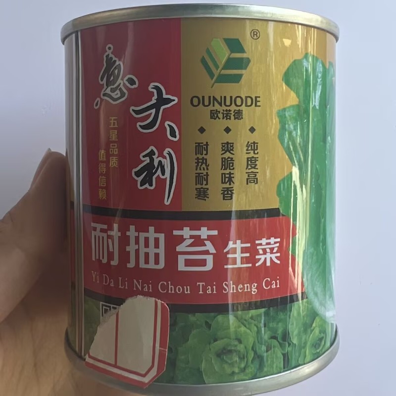 意大利耐抽苔生菜种子高芽率耐热耐湿耐寒生菜四季蔬菜种籽孑