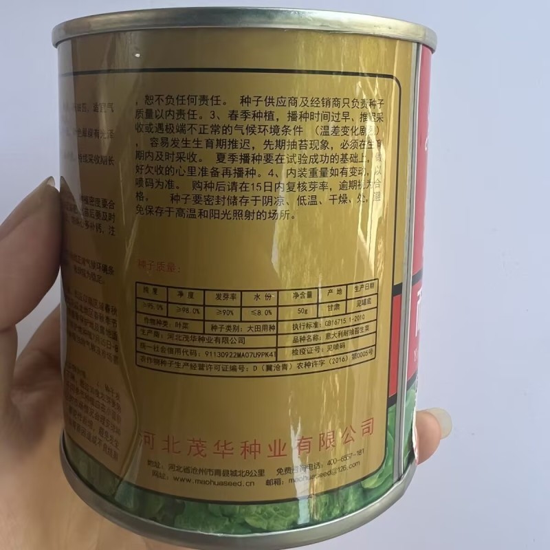 意大利耐抽苔生菜种子高芽率耐热耐湿耐寒生菜四季蔬菜种籽孑