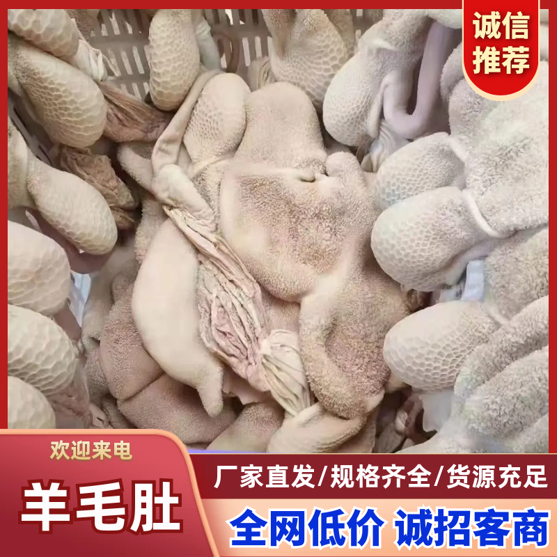 【精品】羊毛肚全熟羊净肚厂家直发量大优惠欢迎选购