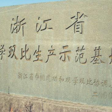 【热卖】羊栖菜产地直销量大只有价格优惠欢迎咨询采购