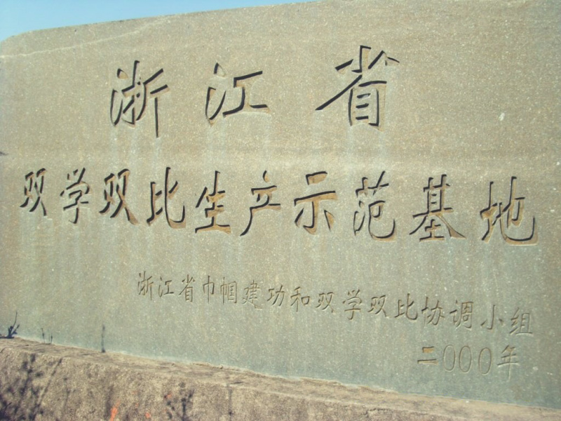 【热卖】羊栖菜产地直销量大只有价格优惠欢迎咨询采购
