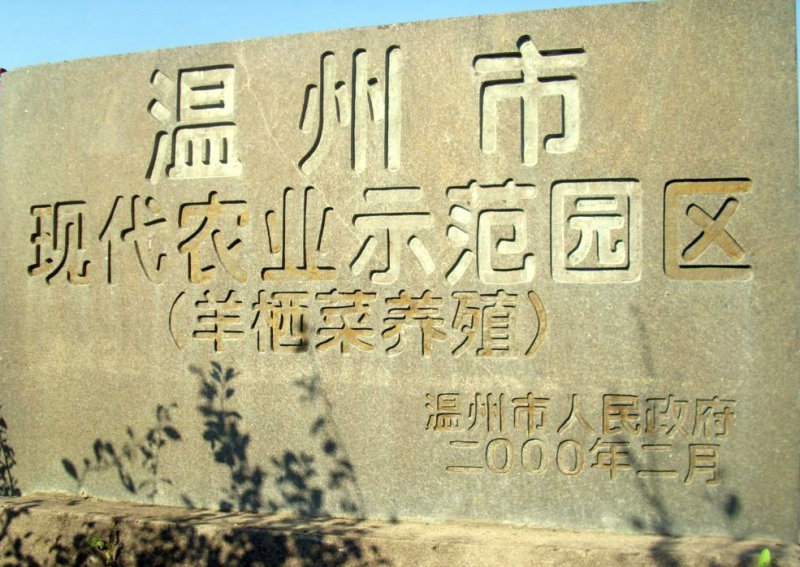 【热卖】羊栖菜产地直销量大只有价格优惠欢迎咨询采购