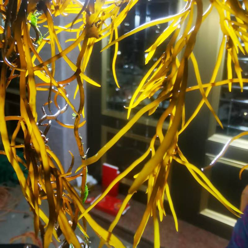 【推荐】羊栖菜规格齐全价格优惠支持视频看货欢迎采购