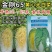 黄心白菜种子早熟65天春秋黄芯大白菜种籽耐寒冬储无筋蔬菜