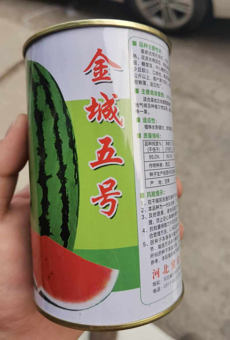 金城五号西瓜种子特大金城5号甘肃压砂西瓜沙漠西瓜种子