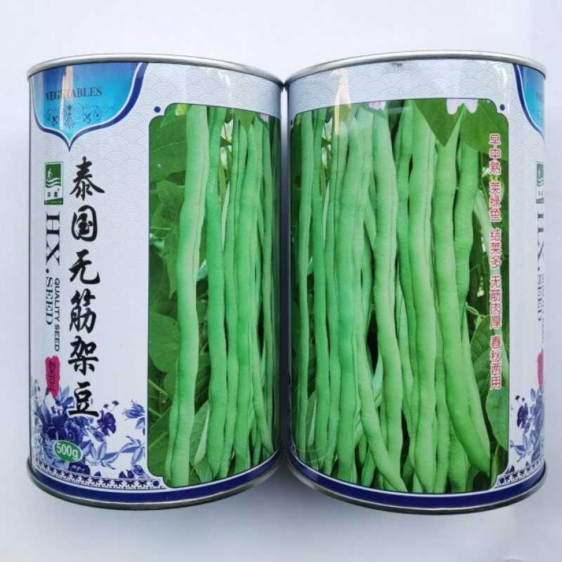 泰国无筋架豆王豆角种子中熟高产豇豆四季豆蔬菜籽罐装