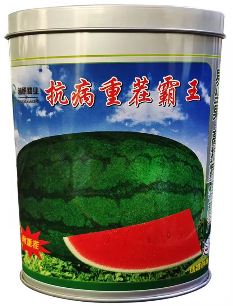 抗病重茬霸王西瓜种子抗病高产抗枯萎病双红瓤懒汉西瓜种子