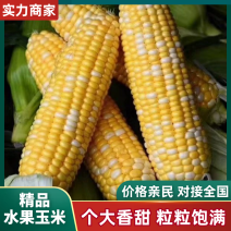 广东精品水果玉米产地一手货源批发品质保证价格优惠可视