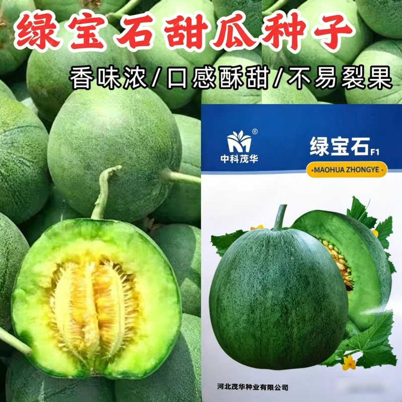 正宗绿宝甜瓜种子绿宝石香瓜种子糖度18薄皮绿皮绿肉甜瓜种