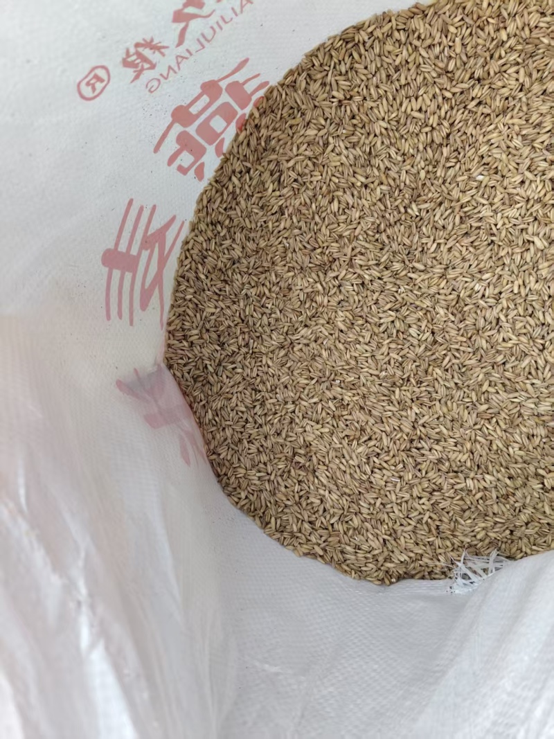 炒燕麦健康好吃量大从优保质保量欢迎来电购买