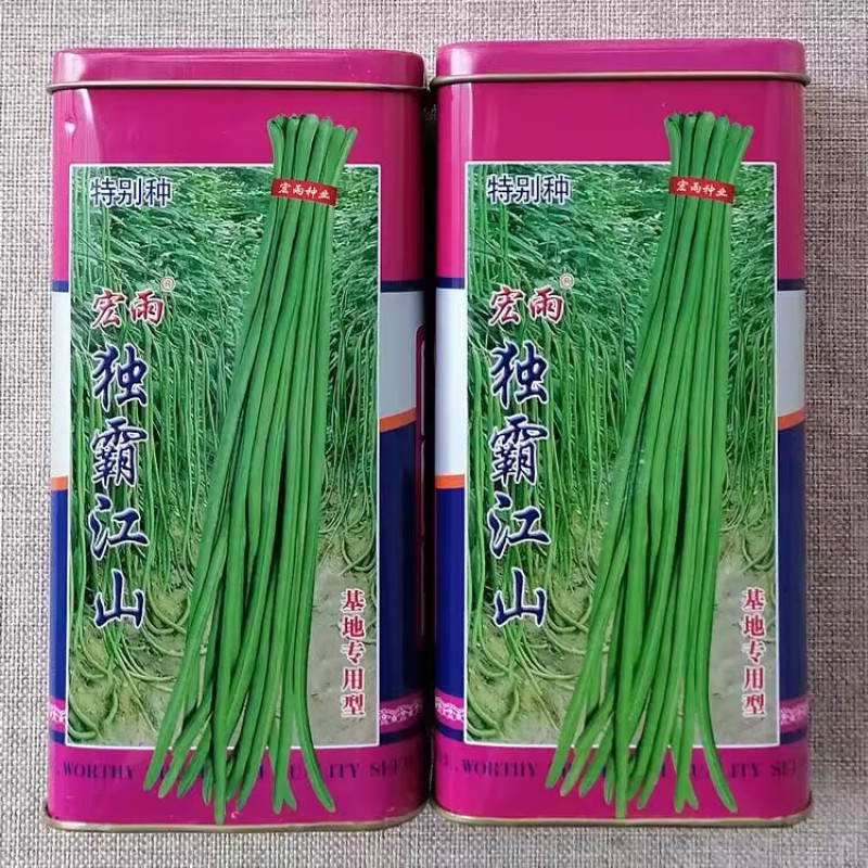 蔬菜基地用豆角种子独霸江山双荚率高早熟高产豇豆种子规模播