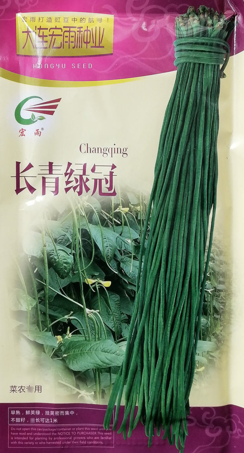 青条豇豆种子深绿豆角长青绿冠菜农蔬菜大棚露地青条豇豆种籽