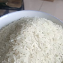 桥乡米，大量供货厂家直发价格优惠欢迎来电洽谈