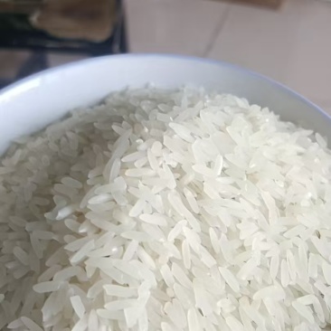桥乡米，大量供货厂家直发价格优惠欢迎来电洽谈