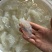 虎斑珊瑚丝海蜇丝海蜇大花海蜇小花可对接全国各地客商