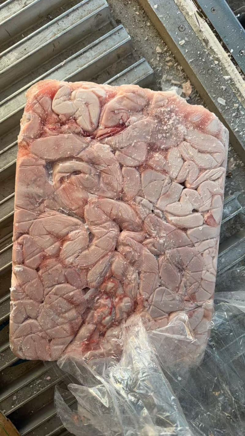 沂南猪腰子冷链直发沂南县自家加工基地一手货源无中间商