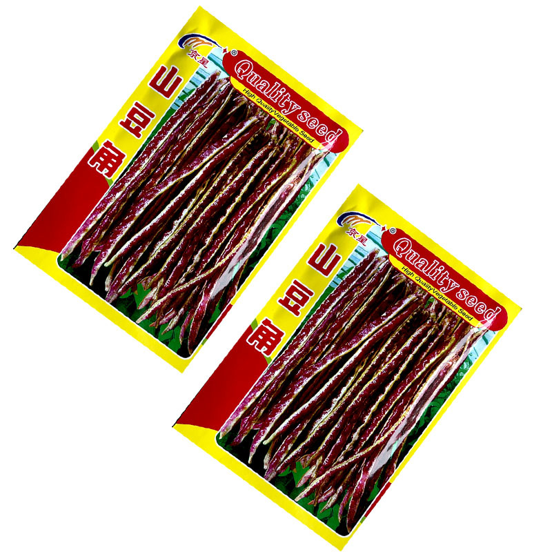 山豆角种子8g山东地方品种无支架花红色地豆角豇豆基地