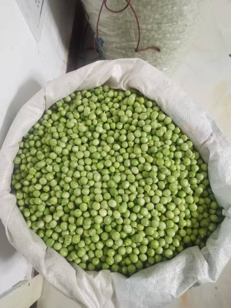 新鲜大白豌豆上市，对接市场，档口电商，品质保障，量大从优