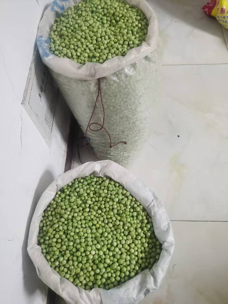 新鲜大白豌豆上市，对接市场，档口电商，品质保障，量大从优