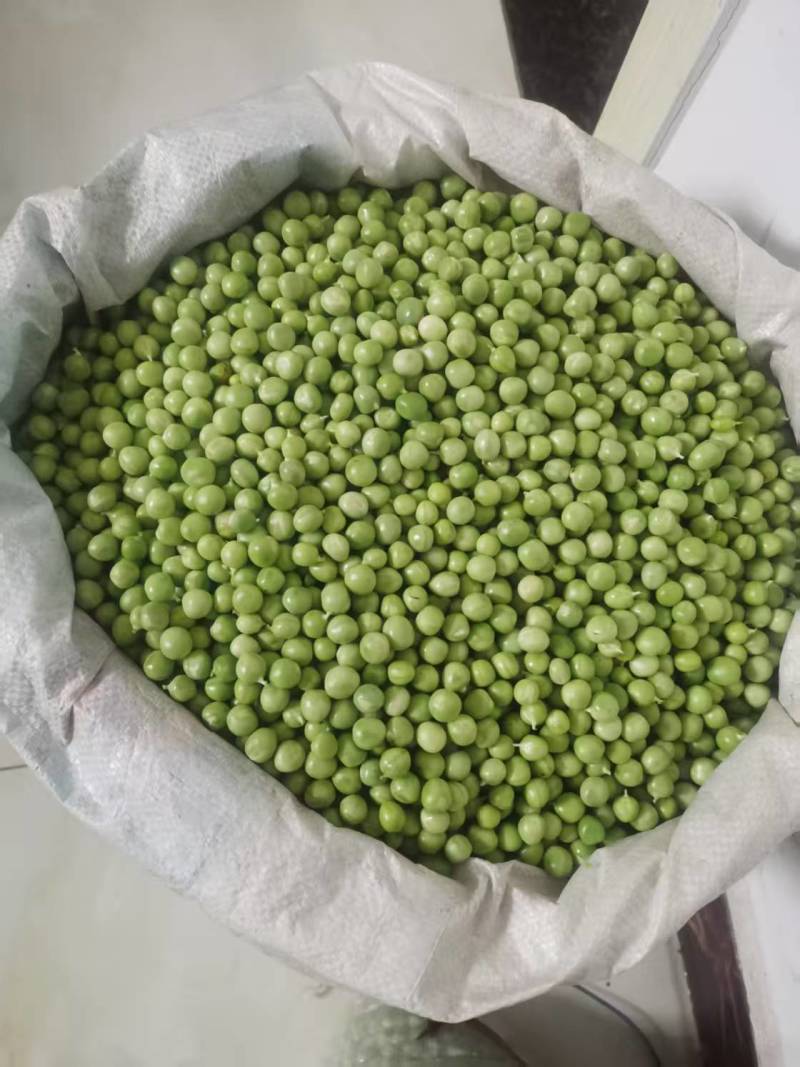 新鲜大白豌豆上市，对接市场，档口电商，品质保障，量大从优