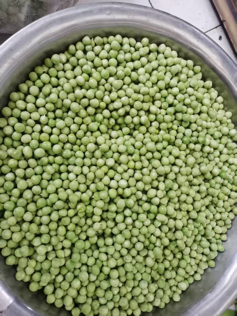 新鲜大白豌豆上市，对接市场，档口电商，品质保障，量大从优
