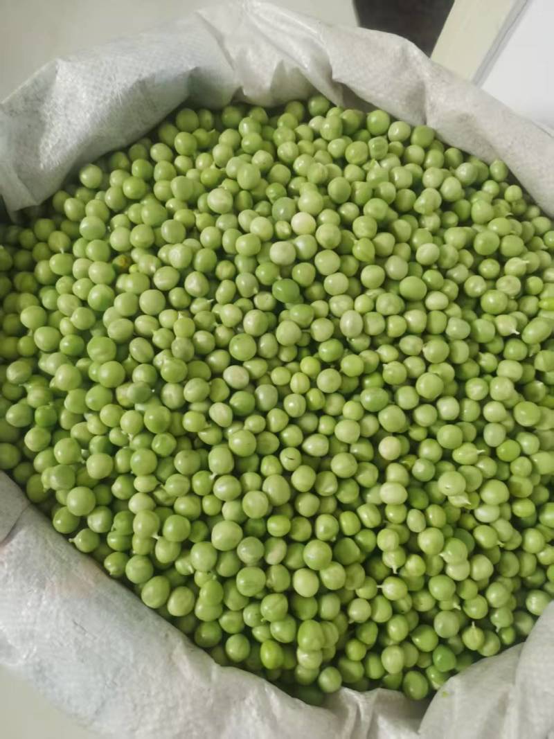 新鲜大白豌豆上市，对接市场，档口电商，品质保障，量大从优