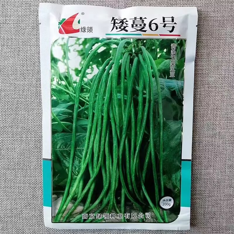 矮蔓6号青条无架豇豆种子早熟抗病不搭架豆角种籽高产口感好