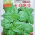 大叶荆芥种子荆芥菜种籽秧苗盆栽河南荆芥菜籽四季野菜蔬菜种