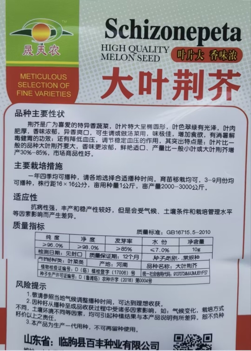 大叶荆芥种子荆芥菜种籽秧苗盆栽河南荆芥菜籽四季野菜蔬菜种