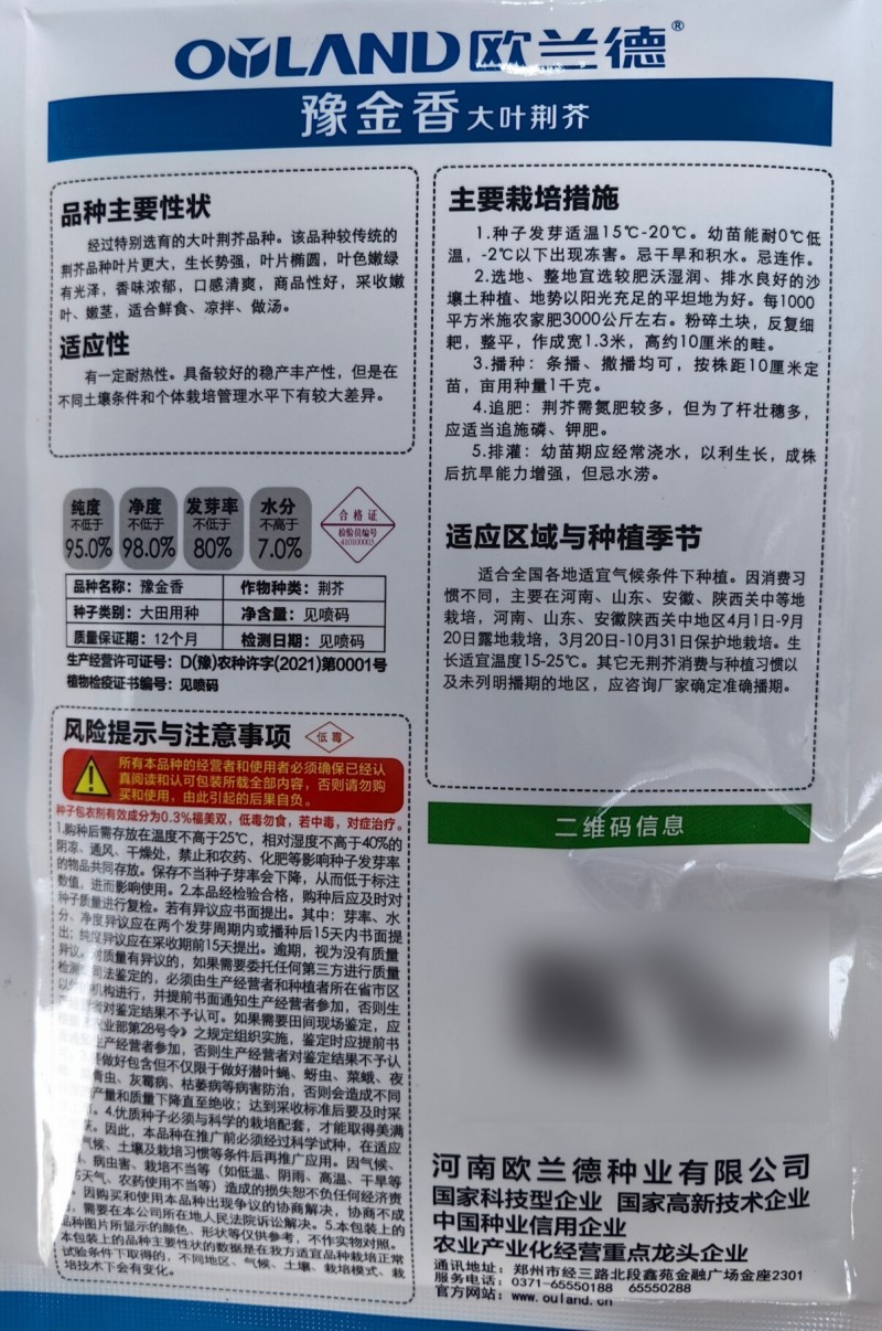 豫金香荆芥种子特大叶超大叶荆芥种籽河南清香荆芥种子孑籽