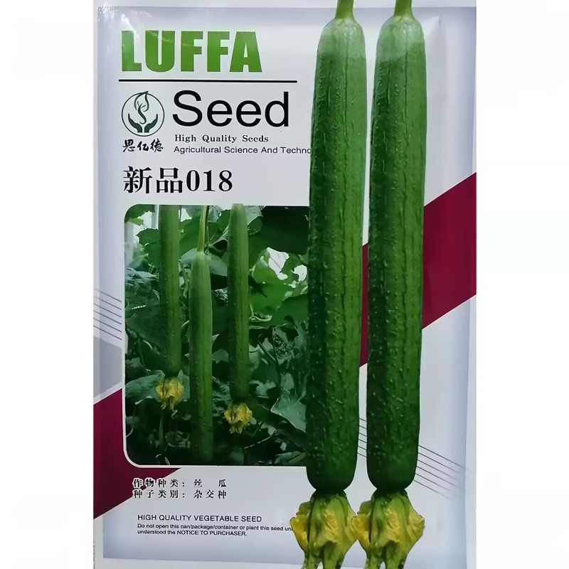 丝瓜种子新品018丝瓜种籽杂交优质高产丝瓜种籽耐热耐寒