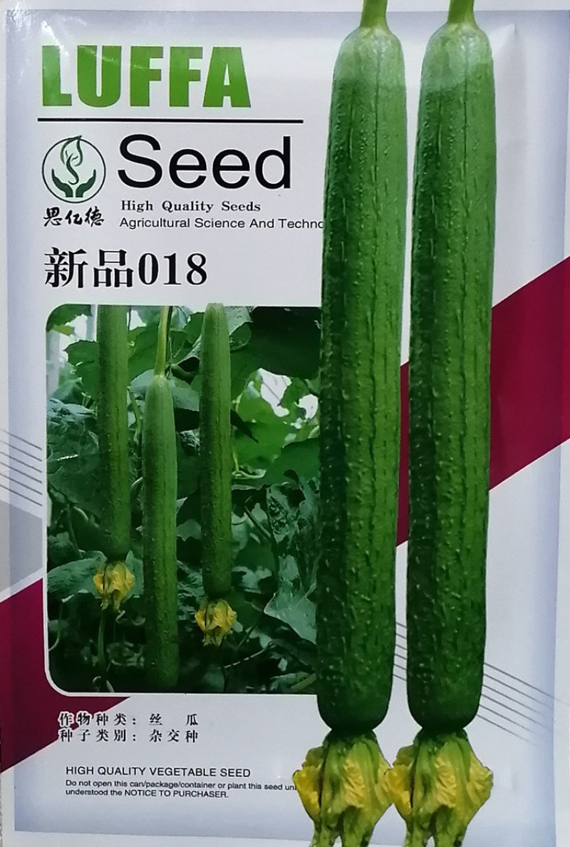 丝瓜种子新品018丝瓜种籽杂交优质高产丝瓜种籽耐热耐寒