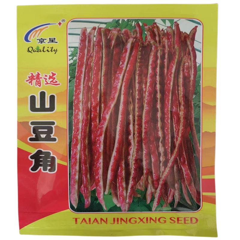 山豆角种子无支架山东地方品种豇豆地豆不搭架长豆角种子