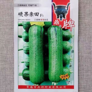 硬果亲田硬果丝瓜种子翠绿短棒糯香高产丝瓜种籽基地大棚种植