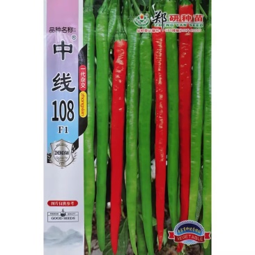 中线108线椒种子香辣型干鲜两用线椒种籽早熟肉厚高产抗病