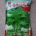 白圆叶苋菜种子品质好叶圆阔大大田高产白圆苋菜种子