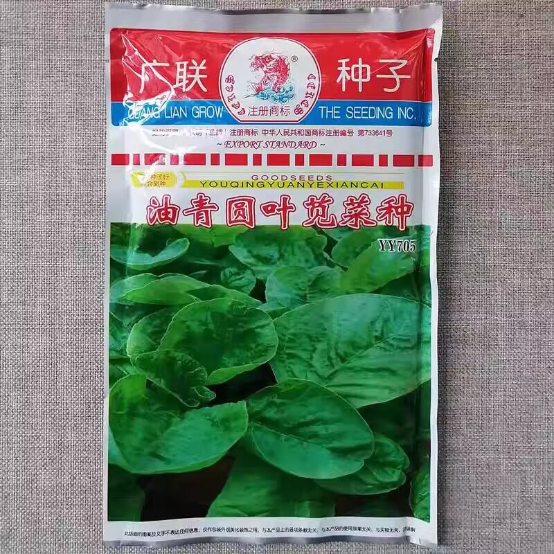 油青圆叶苋菜种子早熟长势快高产油绿苋菜种籽四季蔬菜耐湿热