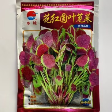 花红圆叶苋菜种子蔬菜基地型早熟高产红叶苋菜种籽生长快